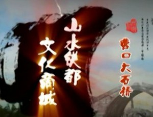 中國鎂都大石橋（鋁產(chǎn)業(yè)） (11959播放)